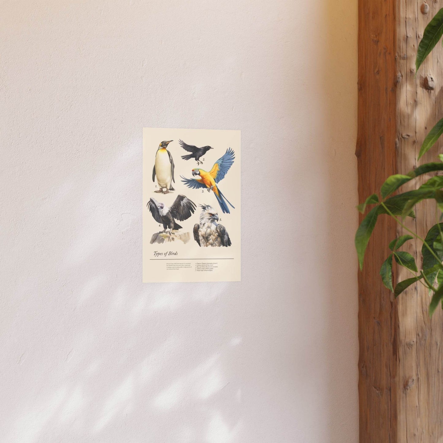 Birds Fine Art Print, Penguin, Raven, Macaw, Condor, Harpy Eagle Poster - Satin and Archival Matte Wall Art, Home Decor, Wildlife Lover - Little Flower Farm