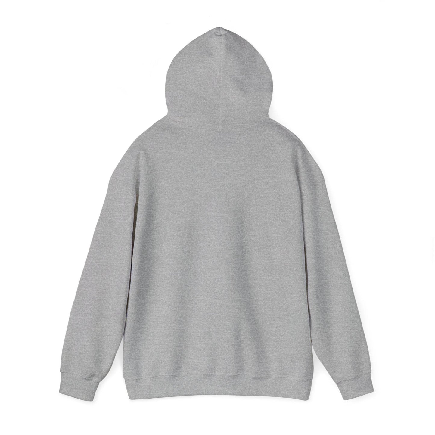 Feis Grandpa Hoodie, Irish Dance Sweatshirt Gift, Unisex Dance Competition Clothing, Irish Grandfather Present, Hooded Jumper Apparel, - Little Flower Farm