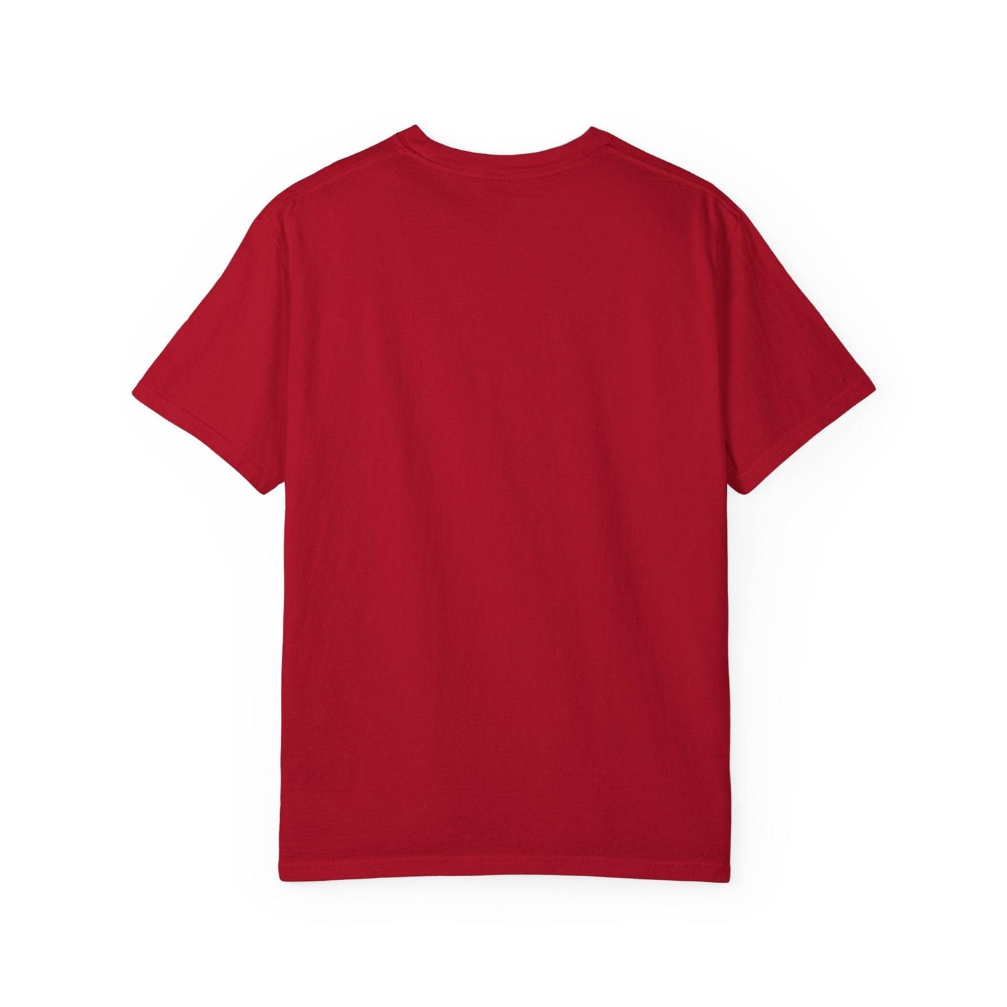 Chinese Year of the Snake New Year 2025 Unisex Garment-Dyed T-shirt, Year of the Snake Tee, Chinese Zodiac Shirt, Lunar New Year Top, Animal - Little Flower Farm