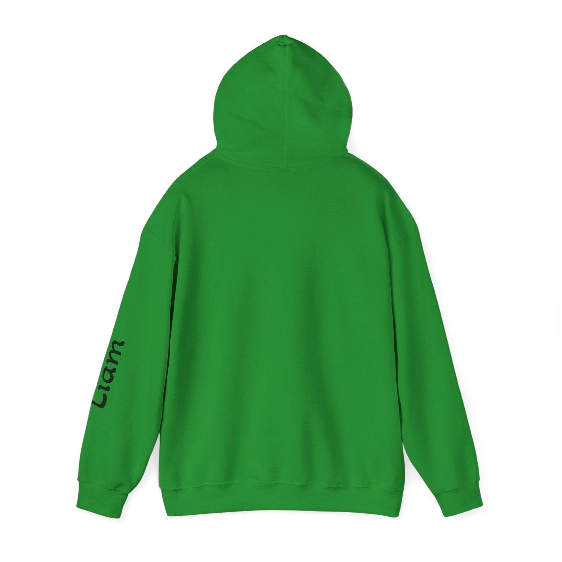 Personalized Irish Dancer Hoodie, Dance Sweatshirt, Celtic Jig Pullover, Shamrock Dance Jacket, St. Patrick's Day Top - Little Flower Farm