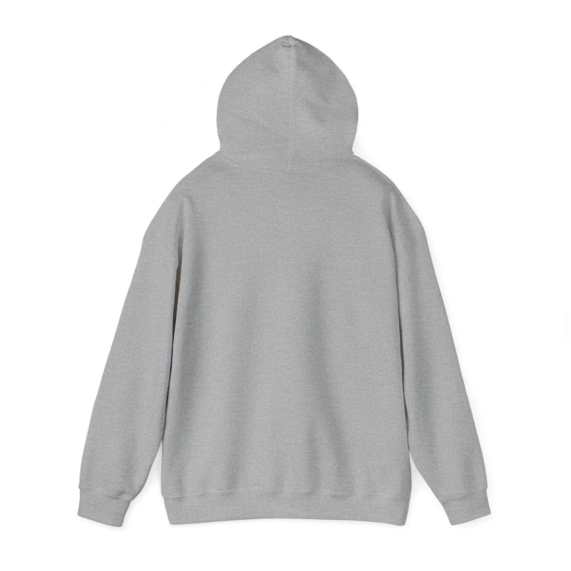 Feis Grandpa Hoodie, Irish Dance Sweatshirt Gift, Unisex Dance Competition Clothing, Irish Grandfather Present, Hooded Jumper Apparel, - Little Flower Farm