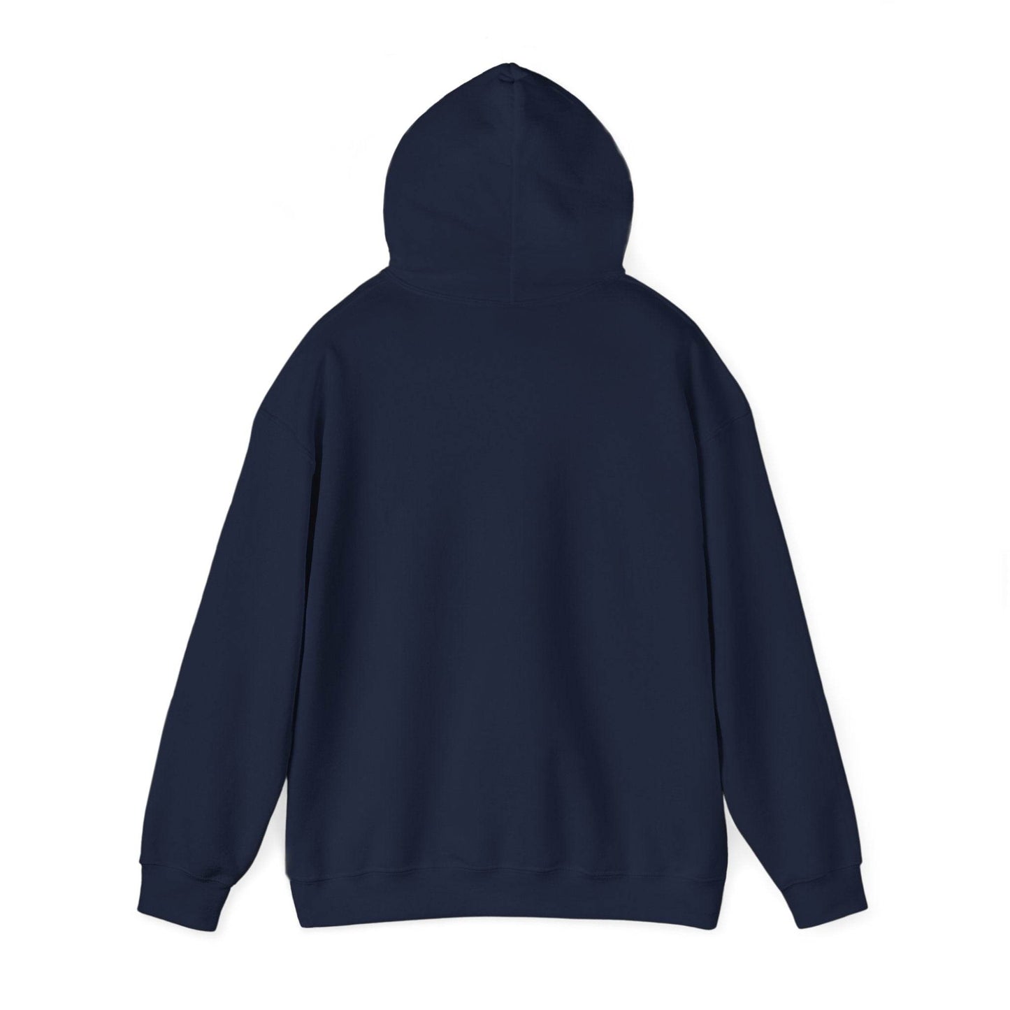 Irish Dancer Hoodie, Irish Dance Sweatshirt, Dancer Gift, Irish Dance Apparel, Irish Dance Team Hoodie - Little Flower Farm