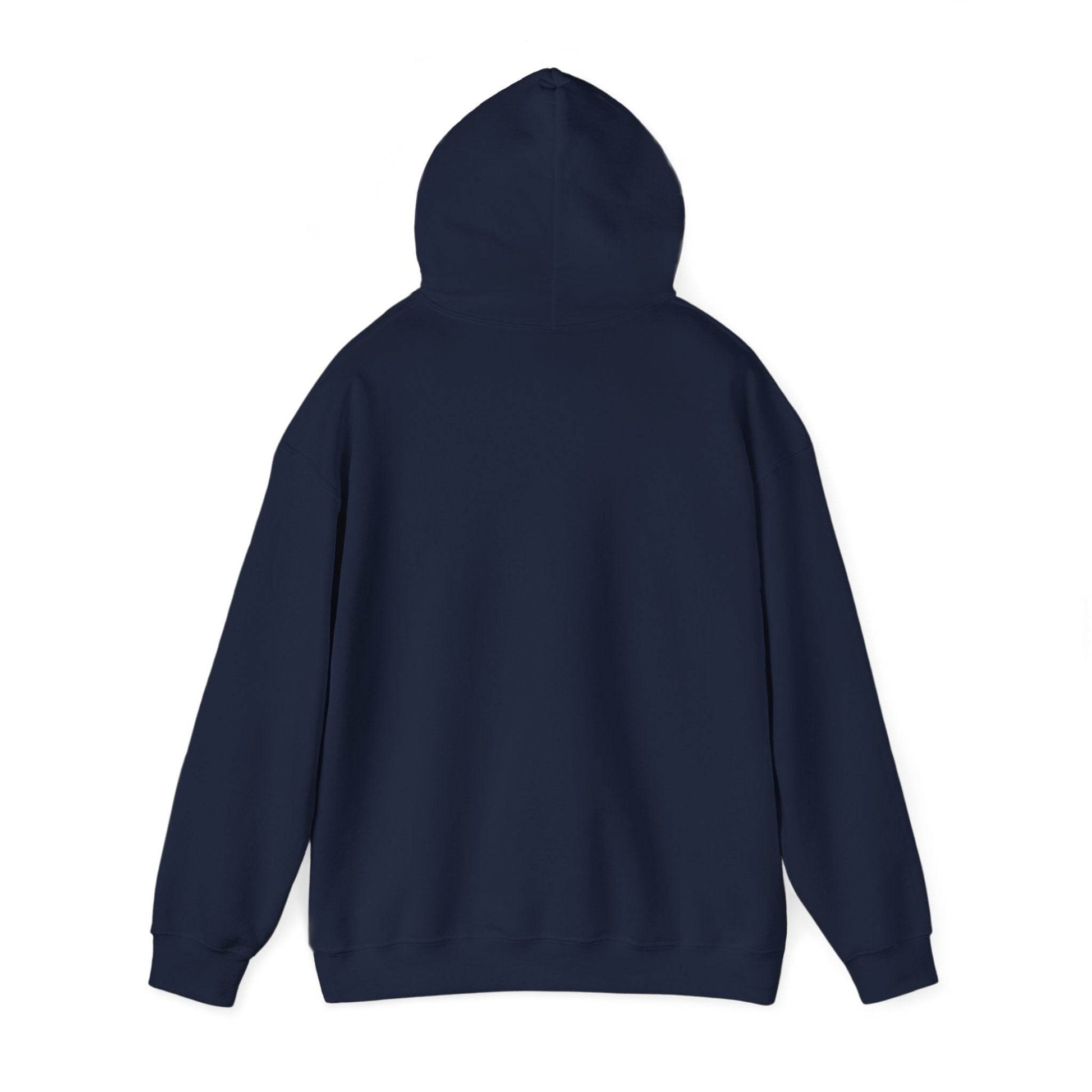 Irish Dancer Hoodie, Irish Dance Sweatshirt, Dancer Gift, Irish Dance Apparel, Irish Dance Team Hoodie - Little Flower Farm